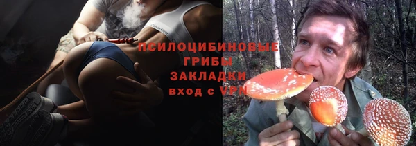 трава Новодвинск