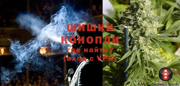 трава Новодвинск