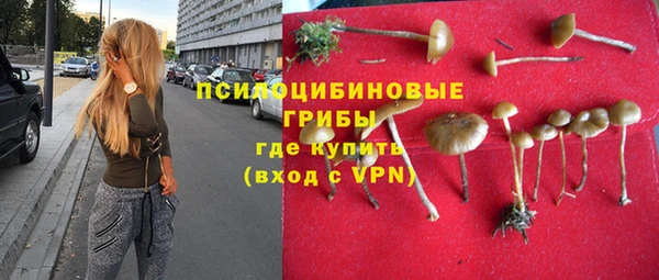 трава Новодвинск