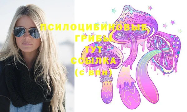 дмт Новокубанск