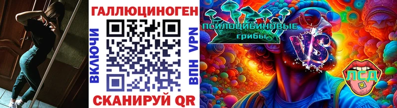 МЕГА ссылка  Белогорск  Псилоцибиновые грибы Psilocybe 