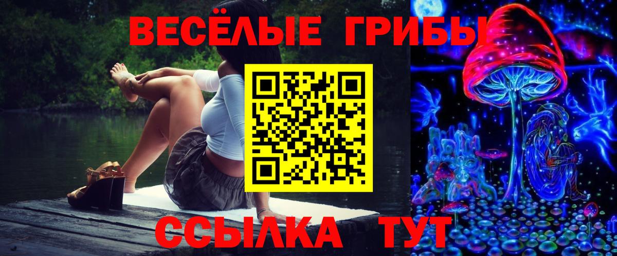 Галлюциногенные грибы Cubensis Белогорск