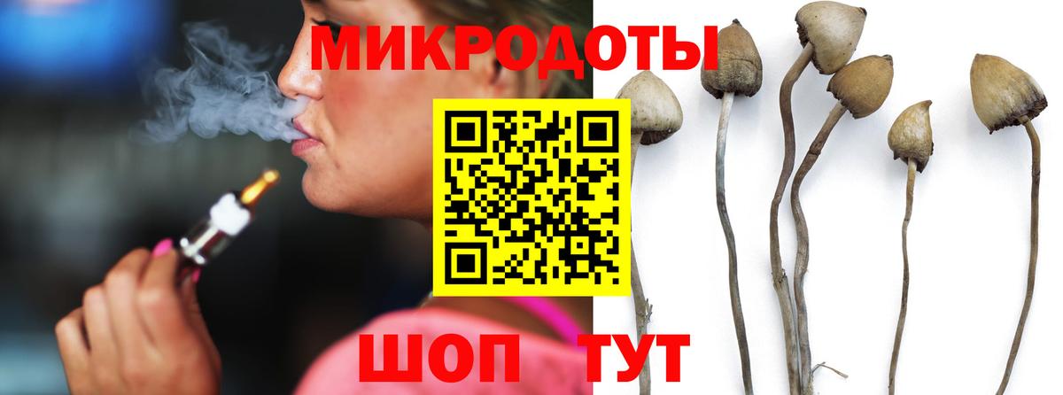 Галлюциногенные грибы мицелий Белогорск