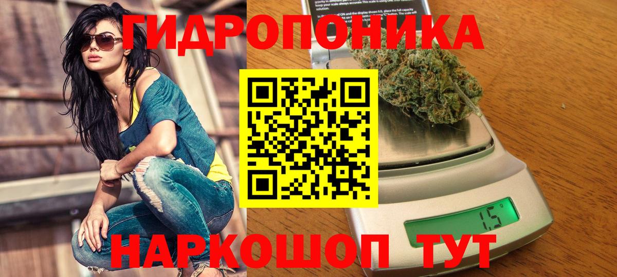 Шишки марихуана Bruce Banner  МАРИХУАНА сатива  Белогорск  Канабис планчик  Вход с VPN 